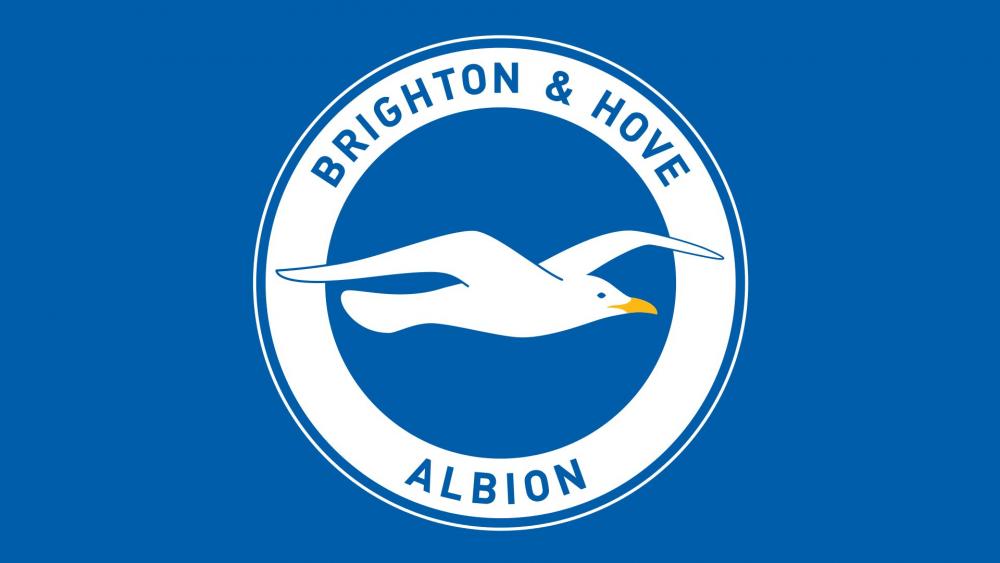 Brighton Hove Albion.jpg