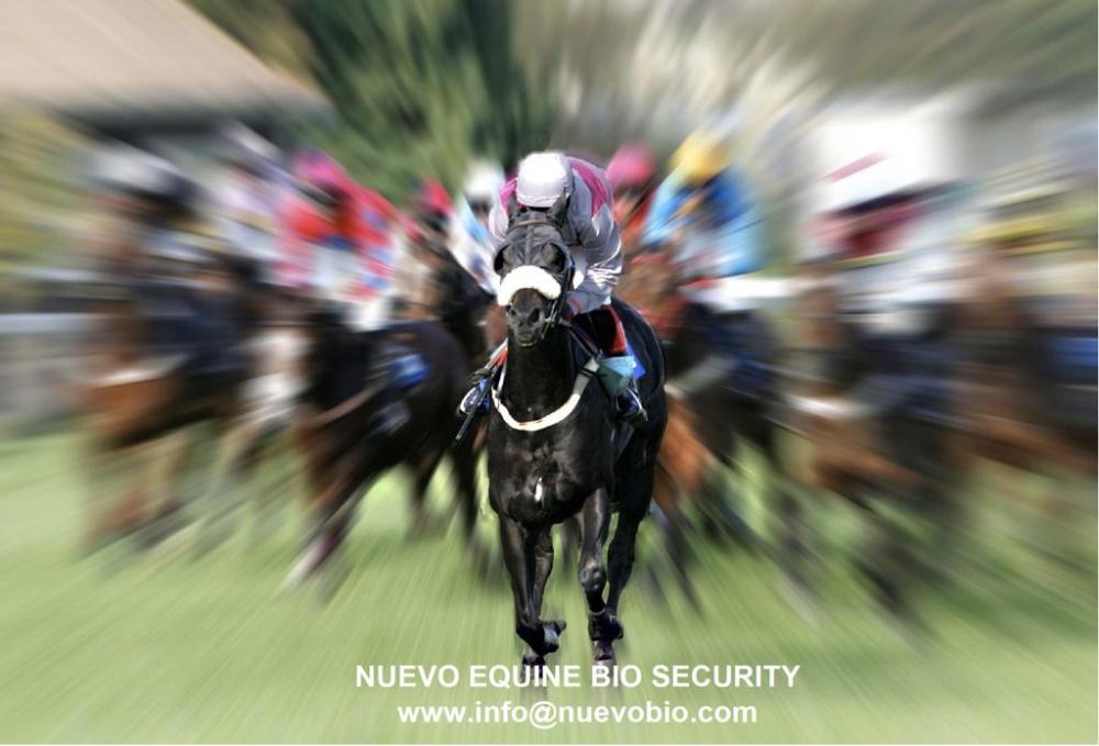 Nuevo Equine Bio Security.jpeg